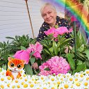 ���� �������, ������ - ��������� 1 ���� 2025 � ������ ���� ����������