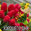 ���� �������, ������ - ��������� 3 ��� 2026 � ������ ������ ��������