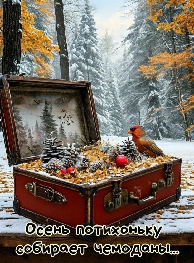 ������� ����������� - 29 ������ 2024 � 21:44