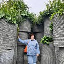 ���� ���������, ������������, 56 ��� - ��������� 21 ������� 2024 � ������ ���� ����������