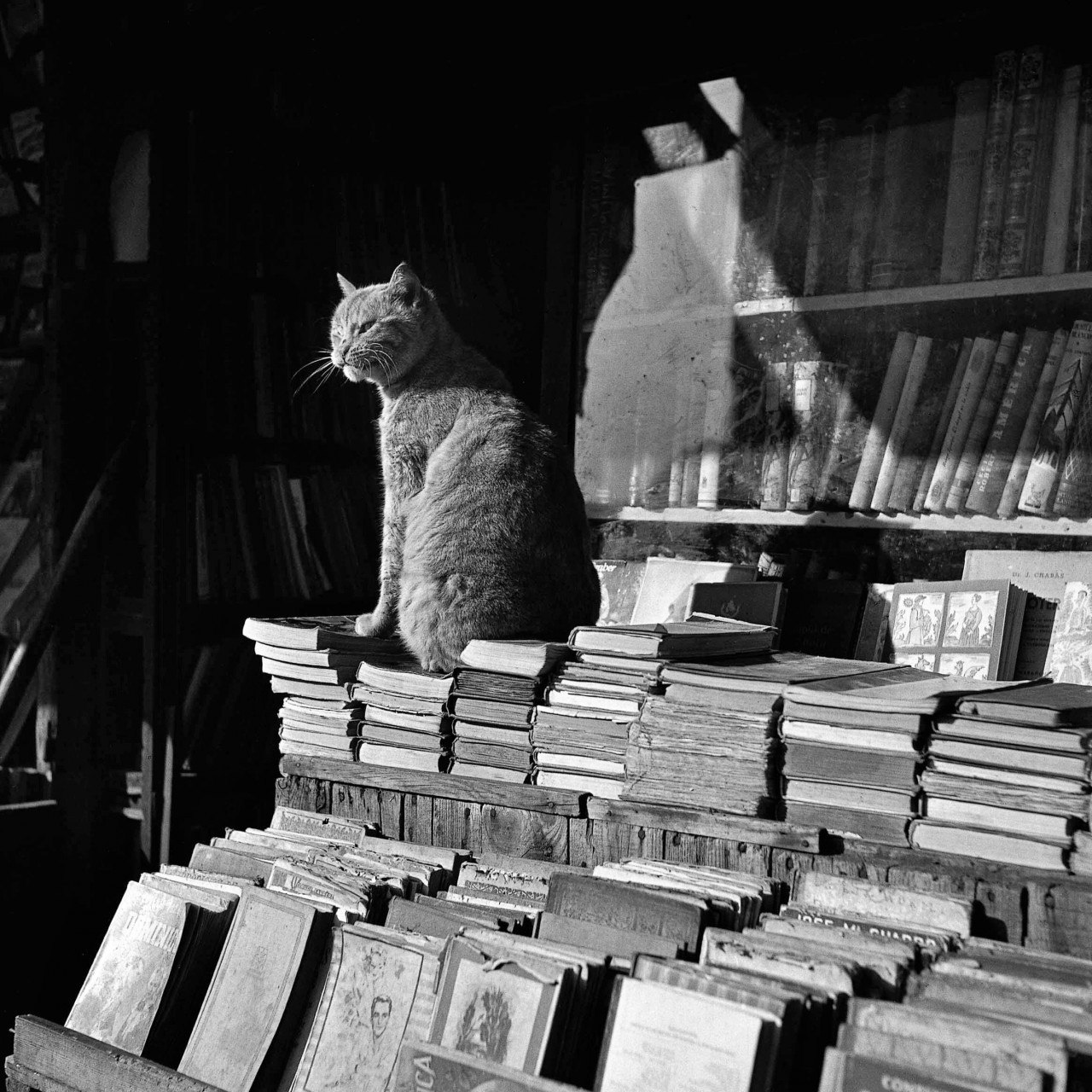  , 1953 .   -