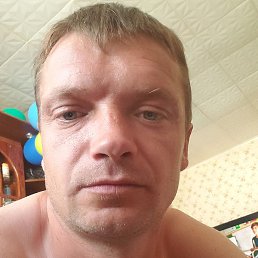 ������, ������, 37 ���