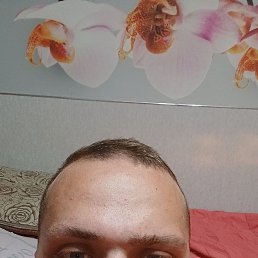 ���� ������, ����, 23 ���� - ��������� 14 ���� 2026