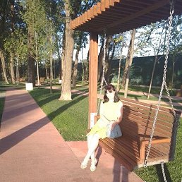 ���������, 40 ���, ���������