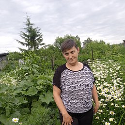 , 52, 