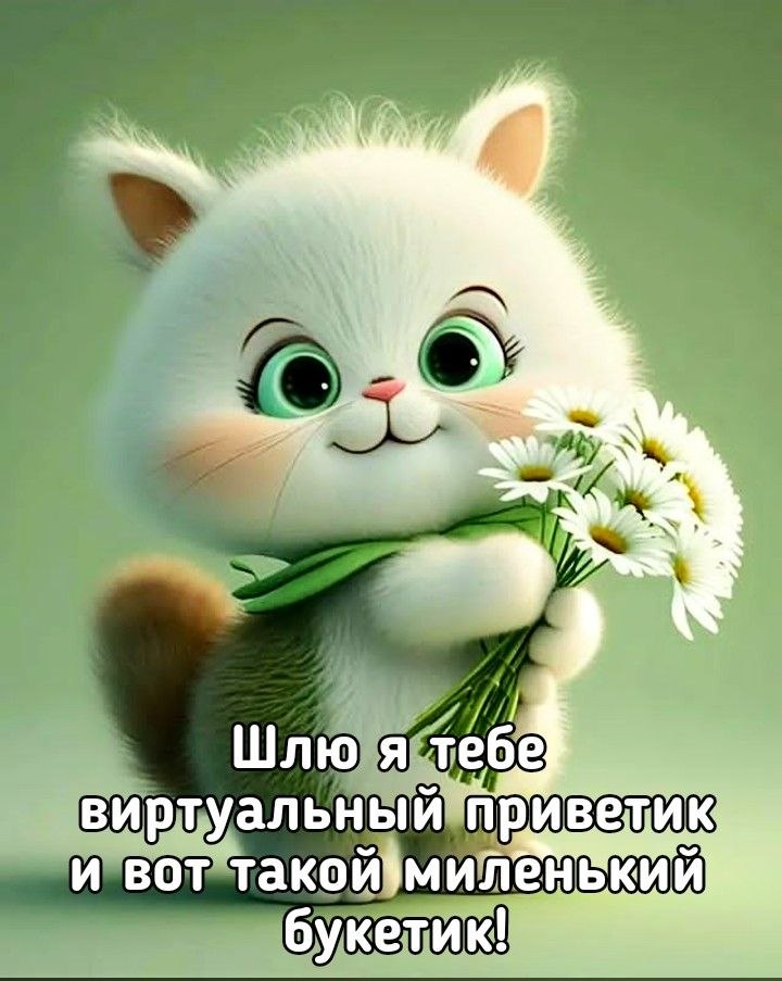   - 24  2024  19:00