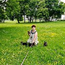 ���� ��������, �����-���������, 53 ���� - ��������� 19 ������ 2026 � ������ ���� ����������