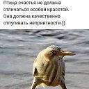 ���� ������, �����, 54 ���� - ��������� 2 ������ 2026