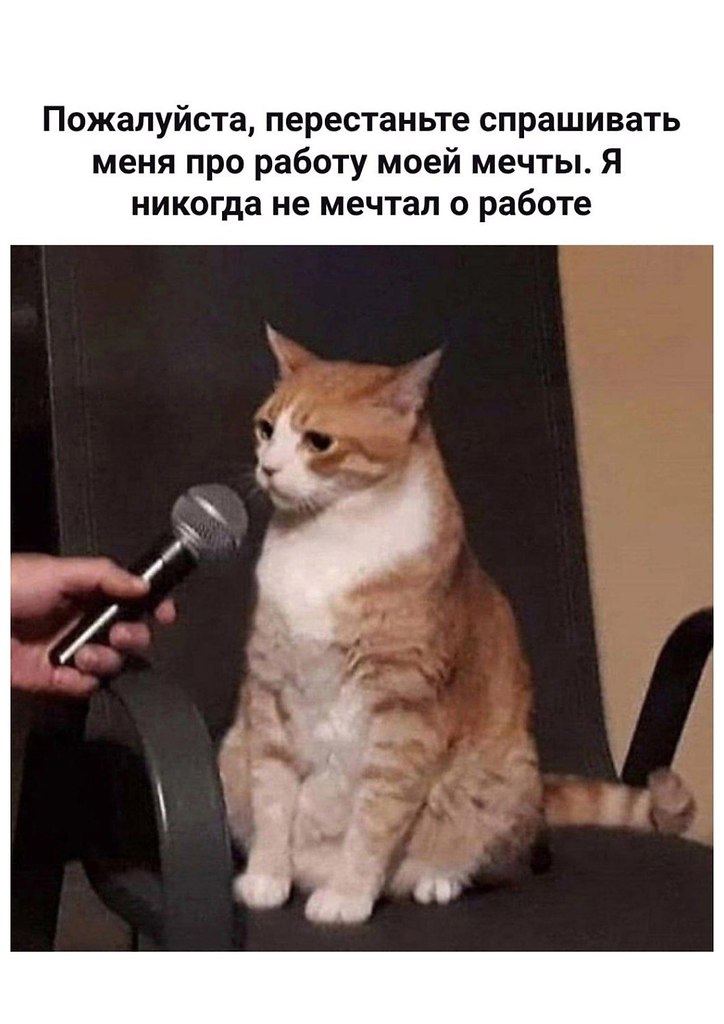   - 10  2025  15:18