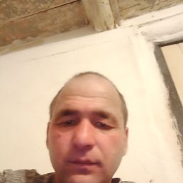  , 37, 