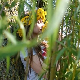 �������, ���������, 49 ���