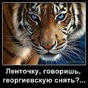 ���� �����, �������, 56 ��� - ��������� 11 ���� 2024 � ������ �������