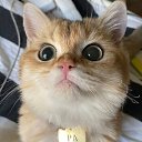 ���� ������, ������������, 19 ��� - ��������� 20 ���� 2026 � ������ ���� ����������