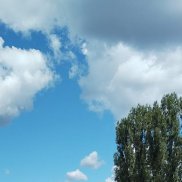 �����, 56 ���, �������