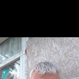 , 45, 