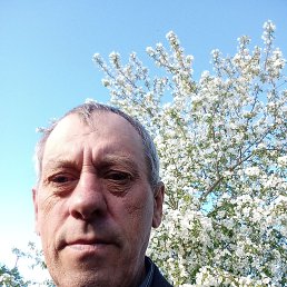 ����, 56 ���, ����