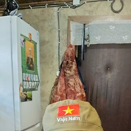 , , 61 