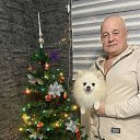 ���� ����, �����, 50 ��� - ��������� 26 ����� 2025 � ������ ���� ����������