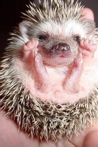 ��������� �� ����� ������ �������, ���� ����� ��� � ����. ����� ������ - 4