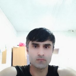 , 41, 