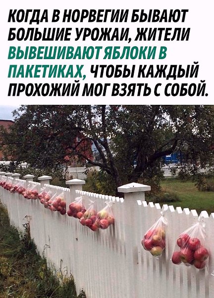  - 30  2025  22:41