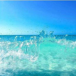 �����, ���������, 49 ���