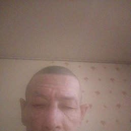 ����, 55 ���, ������-���