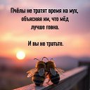 ���� �����, ���� - ��������� 24 ��� 2026 � ������ ������ ��������