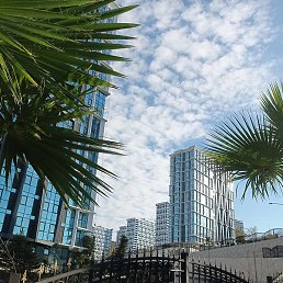 Qodirali, ������, 35 ���