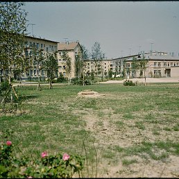 ����, ������, 33 ����