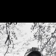 �������, 33 ����, �����