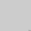 ���� �������, ������ - ��������� 5 ������� 2024 � ������ ���� ����������