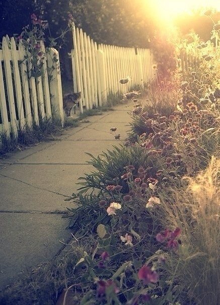 Стихи и цитаты - 12 сентября 2025 в 17:49 - 5