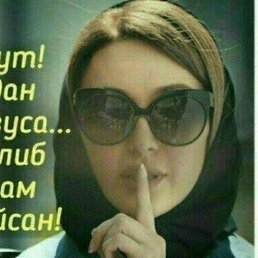 Guli, �����, 24 ����