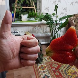 ���� �����, ����, 52 ���� - ��������� 14 ������ 2026