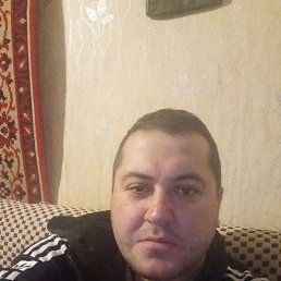 , 33, 