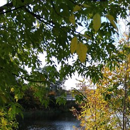 �����, �����-���������, 67 ���