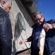 , 63 , 