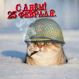 �������, �����������, 20 ���