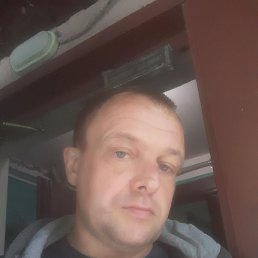 ��������, 41 ���, �����