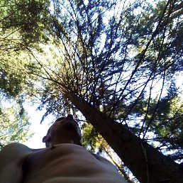 ��������. ������ ��������. 