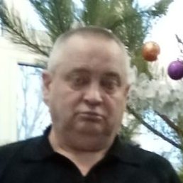 ������, ������, 65 ���