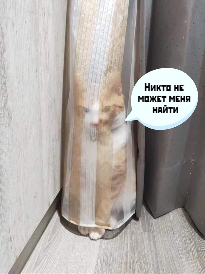       - 5  2025  16:02 - 2