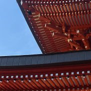 ���������, 24 ����, ������