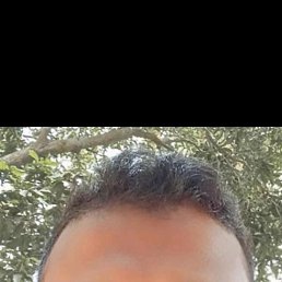 Md Kamal, ������, 84 ����