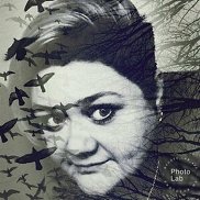 �������, 44 ����, ������