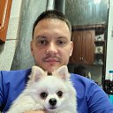 ���� ������, �������, 36 ��� - ��������� 11 ������� 2025 � ������ ���� ����������