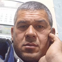 ����, �������, 46 ���