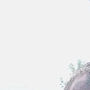 �������, 46 ���, �������