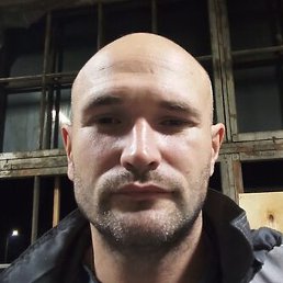 �����, �����-���������, 37 ���